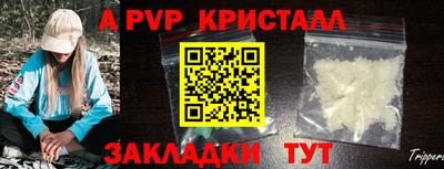 индика Пенза