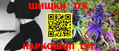 индика Пенза