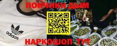индика Пенза