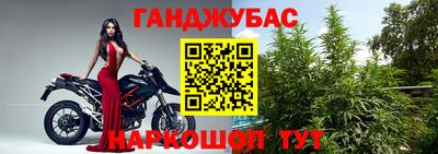 индика Пенза