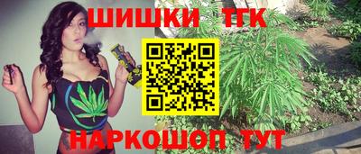 индика Пенза
