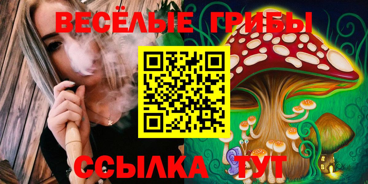 Вологда  Псилоцибиновые грибы мухоморы  Вход с VPN 